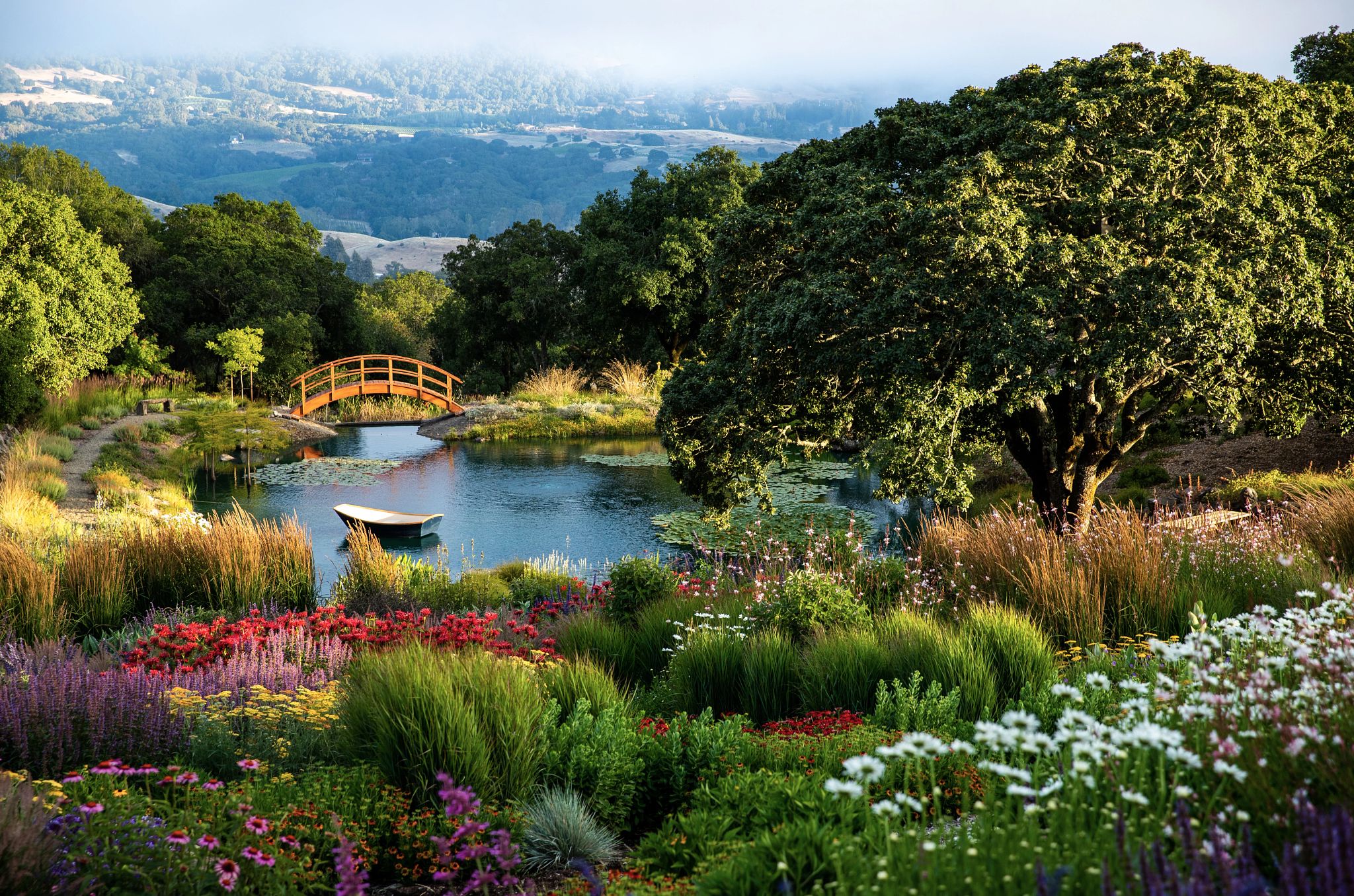 Monet garden
